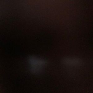 Meet your Posher, Timothy